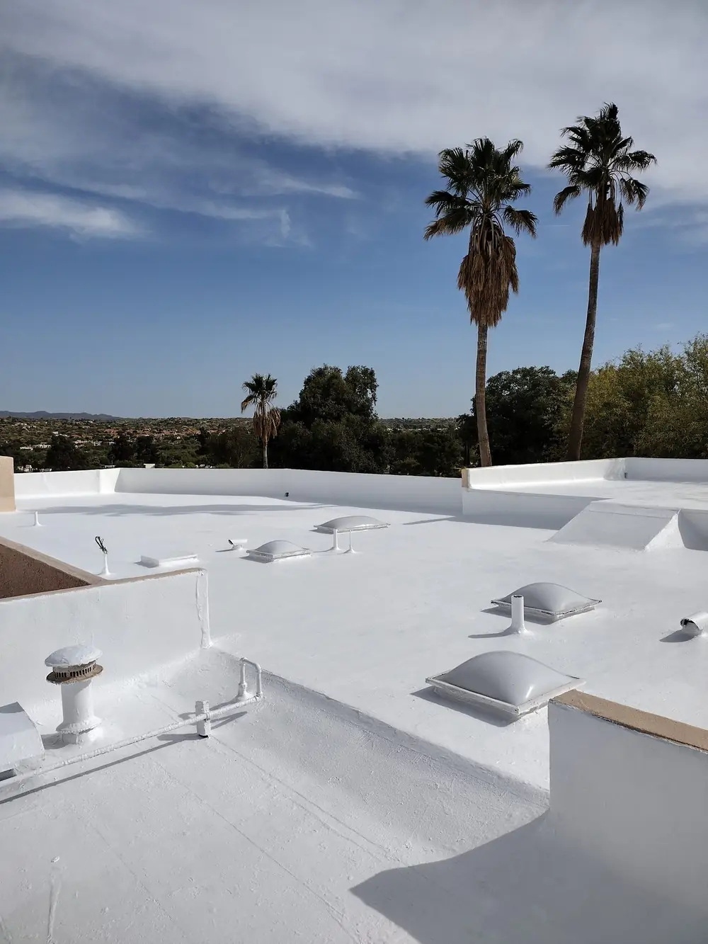 White premium-grade acrylic roof coating on a Tucson home with palm trees behind