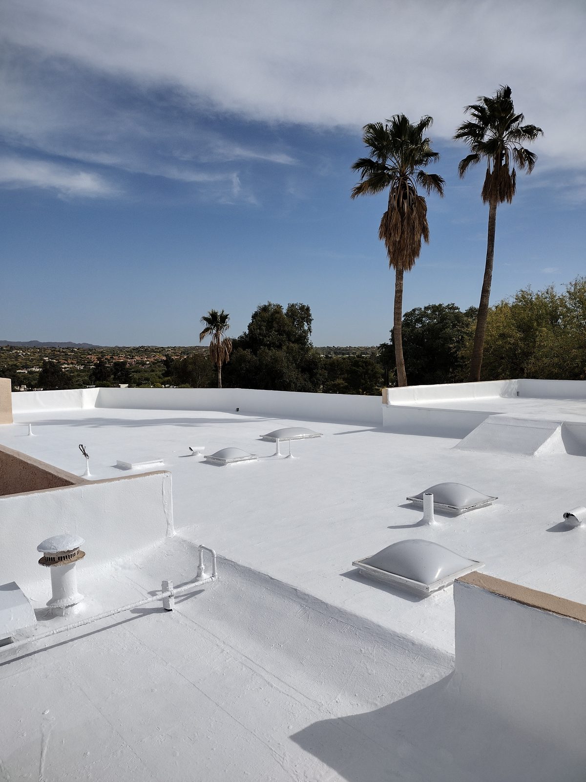 White elastomeric roof coating on a Tucson home with palm trees behind